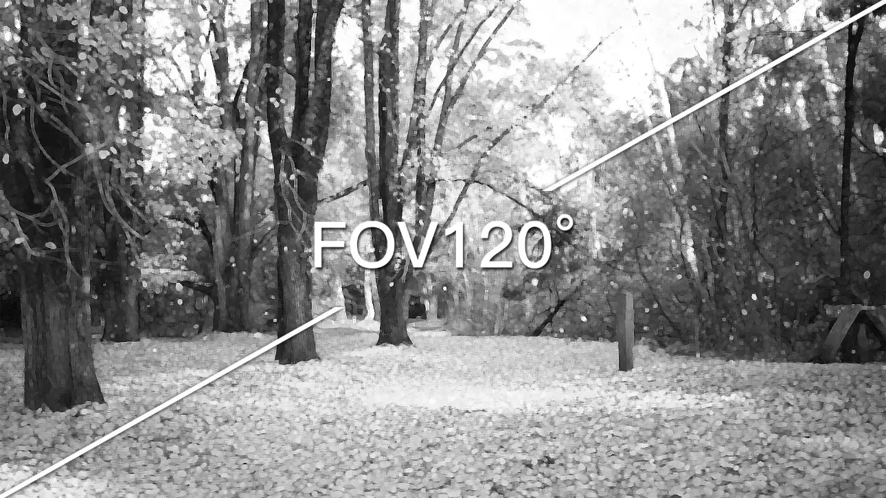 Kamera-Caddx-Infra
